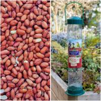 Peanuts 2025 July with free feeder